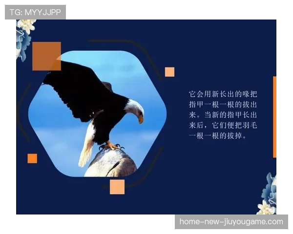 冲刺在即，谁能笑到最后？，冲刺 意思