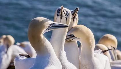 九游娱乐在线-国足在世界杯预选赛中夺冠 激情之战值得铭记，国足世界杯预选赛出线