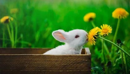 九游娱乐在线-国足在世界杯预选赛中夺冠 激情之战值得铭记，国足世界杯预选赛出线